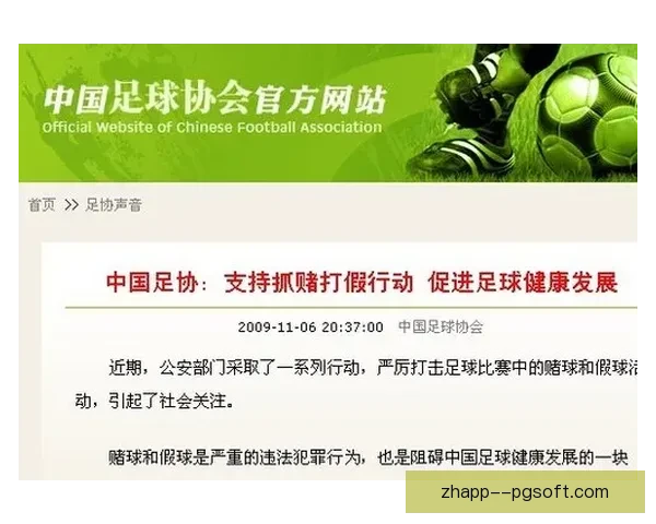 中国足协重拳出击 开启反赌扫黑专项整顿行动